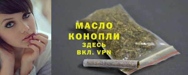 винт Губаха