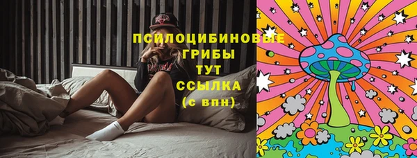 винт Губаха