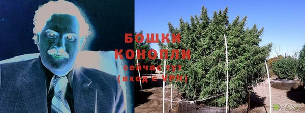 винт Губаха