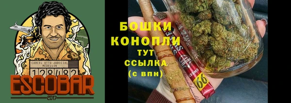 спайс Осинники