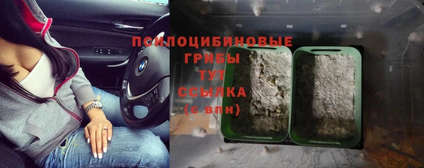 экстази Пестово