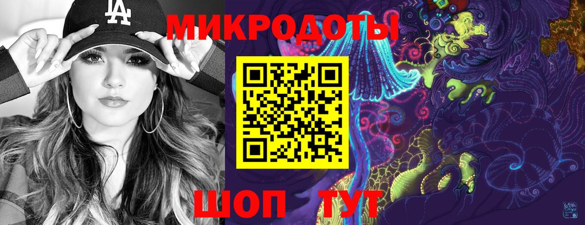 Псилоцибиновые грибы Psilocybe Киров