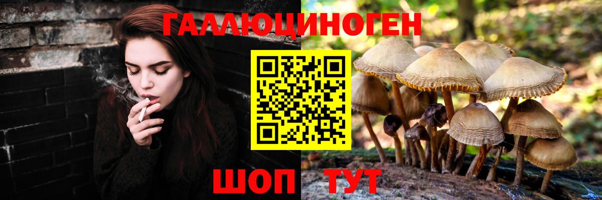 Киров  Галлюциногенные грибы MAGIC MUSHROOMS  Вход с VPN  Галлюциногенные грибы Psilocybine cubensis 