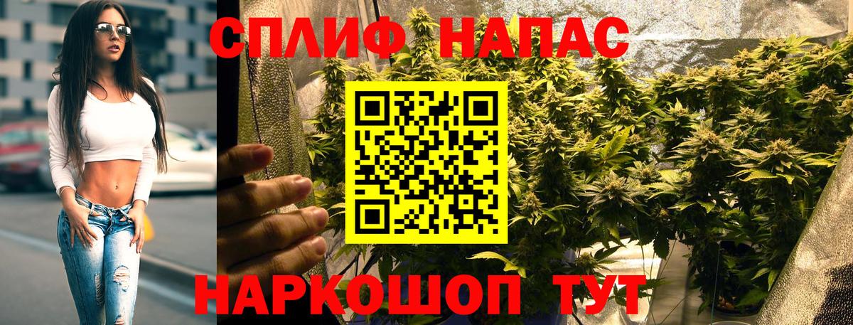 Конопля план Киров